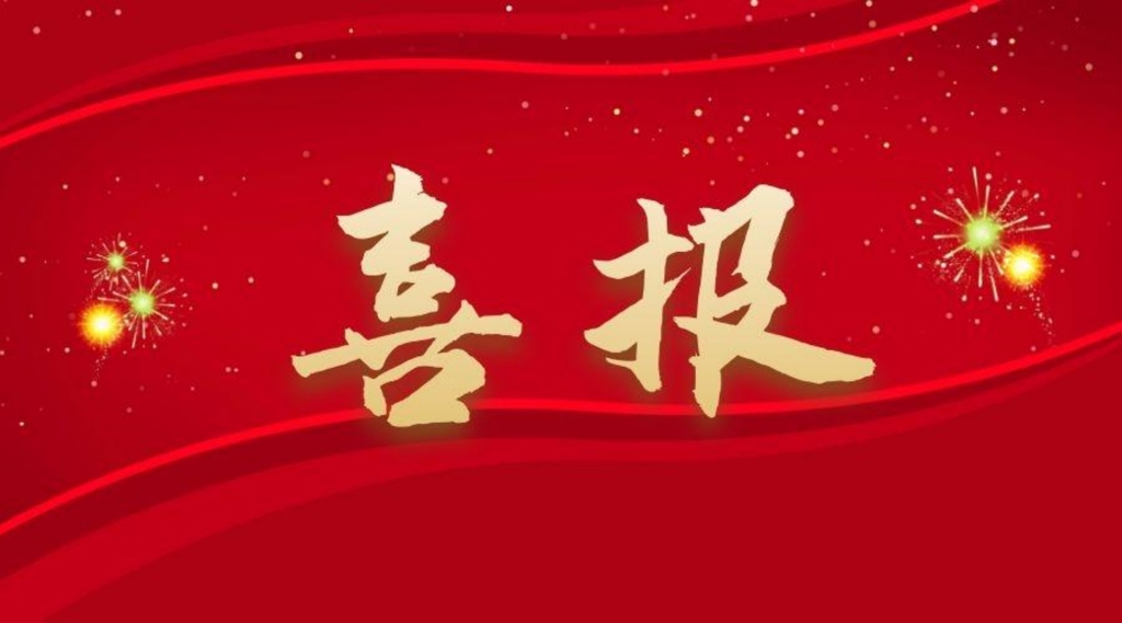 喜报：公司员工在江苏省第十九届老员工职业规划大赛中荣获省赛铜奖
