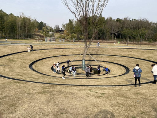 体验景观设计.jpg
